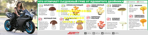 СК Баксан