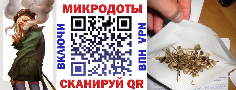 Купить закладки  Бежецк  Галлюциногенные грибы GOLDEN TEACHER 